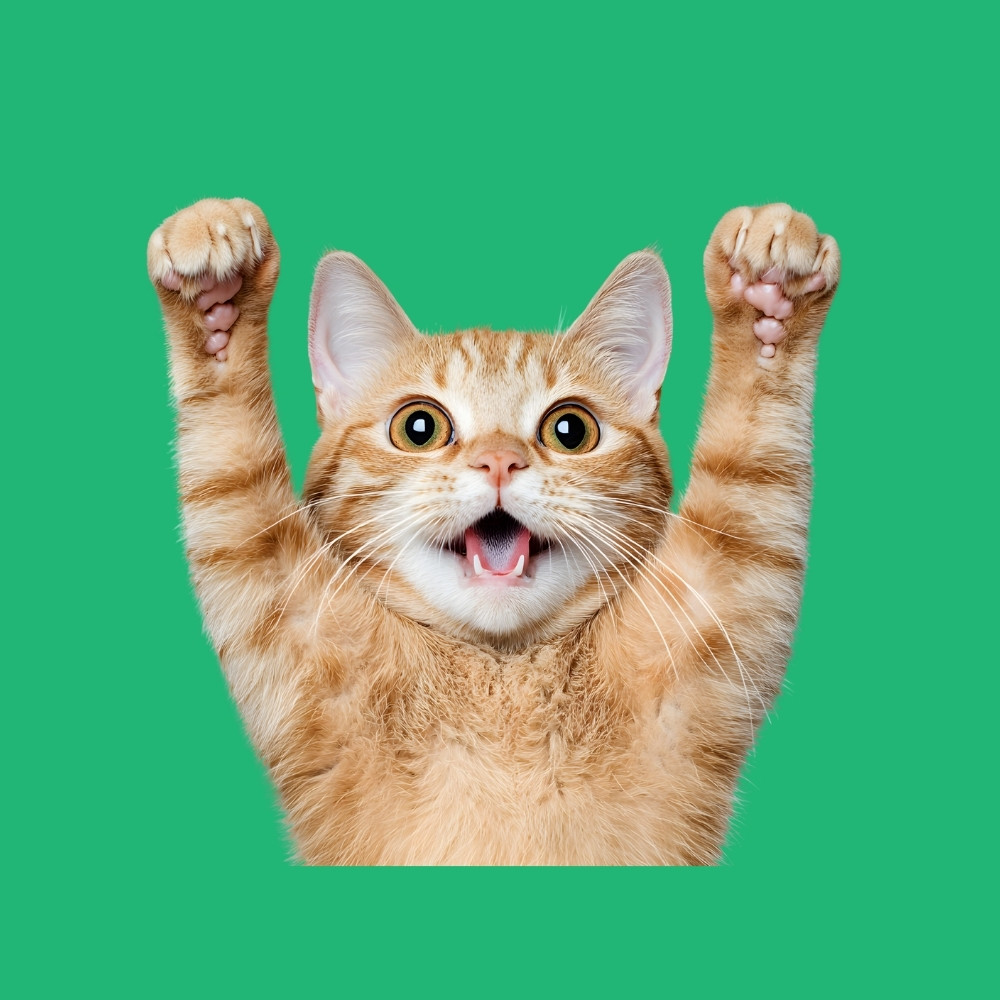 TheStellamaris's Avatar